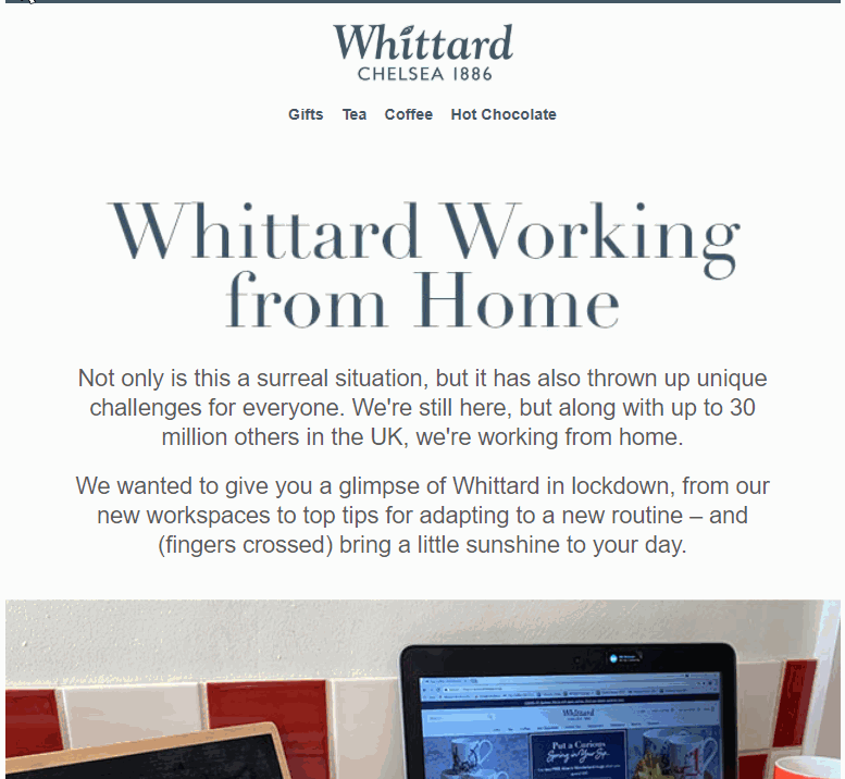 Whittard newsletter